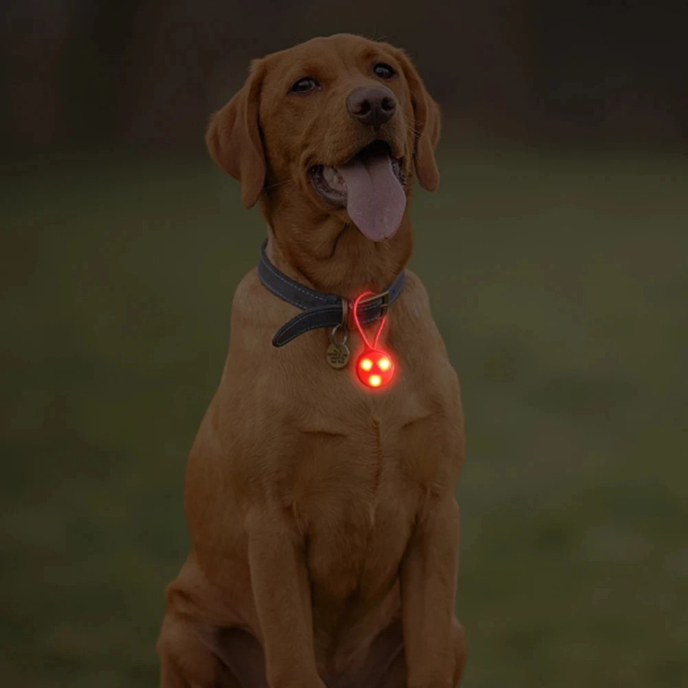 Outdoor Backpack Lights Silico - đánh giá và giá Outdoor Lighting Led Strip